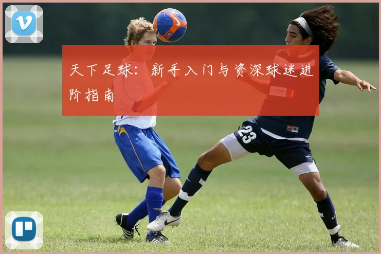 天下足球:新手入门与资深球迷进阶指南